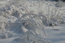 Fairy tale of winter / ***
