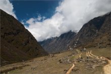 The paths to the house / ***