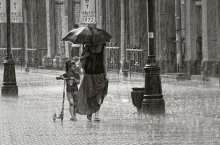 of rain, umbrella and scooter ... / ---------------------