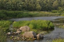 About the past summer / ***