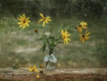 In my September ... / ......................