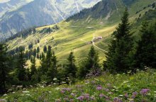 Alpine trails / ***