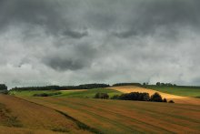 Colorful field / ***