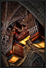 Gothic / Lausanne-Cathédrale Notre Dame
