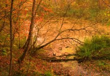 Autumn / ***********