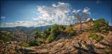 Bulgaria. Smolyan. Mountain Nevyasta # 19 / ***