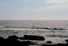 Guincho - the realm of the dunes / ***