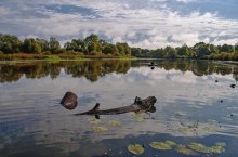 At Lake Dobuzhskom / *******