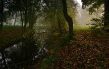 autumn morning / ***