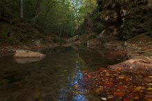 Autumn water .. / ***