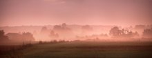 Morning near Lublin / ***