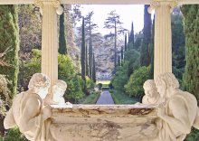 Light catchers / ***