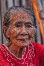Portrait of an old woman / ***