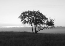 Morning / _______________*