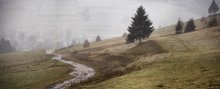 Dank Carpathians / ***