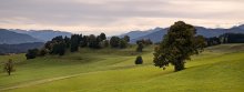 On the green meadows in the blue distance. / ....