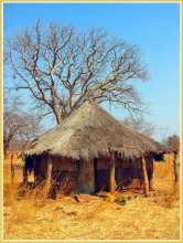 African hut / ***