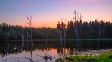 Evening Pond / ***