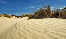 dunes / ----