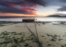 At low tide / ***