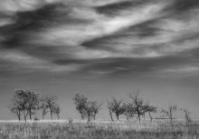 Before the storm / ***