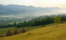 Carpathian morning / ******