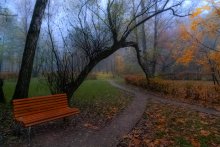 Morning in the Park / Sokolniki / / ***