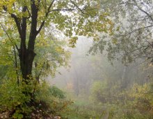 Season of mists / ***