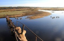 Stokhod river in the middle reaches / ***