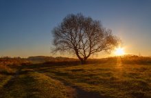 Autumn Sunset with gossamer / ***