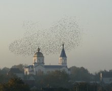 Farewell circle. / ***