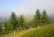 morning in the Carpathians / ******