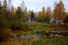 Autumn came / ***