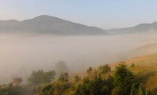 Uro in the Carpathians. / ***