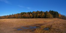 In crimson and gold-clad forests / ***