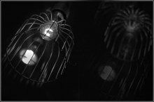 4 lattice / ***