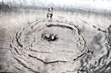 water drop / ***
