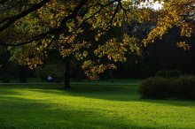 in autumn park / ***