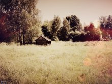 Lonely house / ***