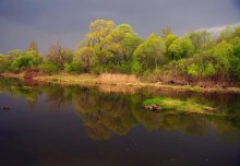 Before the storm / ***