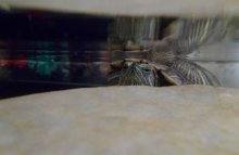 Hiding / ...