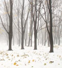 First snow / ***