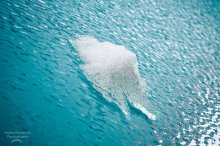 iceberg on glass / ***