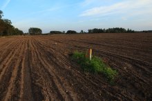 and the ship sails / ***