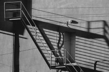 Light shadow sketch / ..........