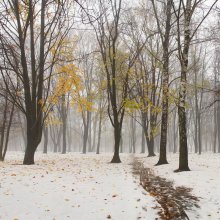 First snow / ***