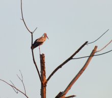 Goodbye, honey! / ***