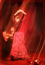 The fire of flamenco. / ******