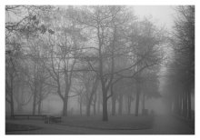 Fog / ***