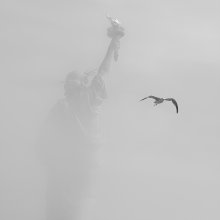 Freedom in the fog / .....